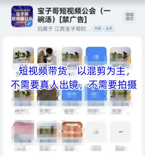 宝子哥头部团队短视频带货，以混剪为主，不需要真人出镜，不需要拍摄【更新26年3月】-想要创业